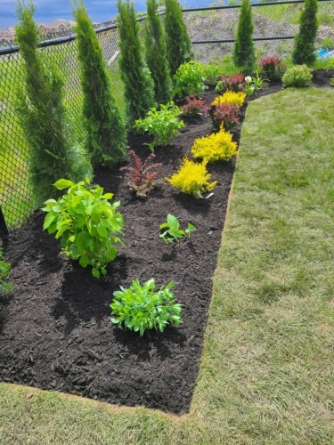 2025-Whitby-Landscaping-Gardening-21-Residential-garden-installation