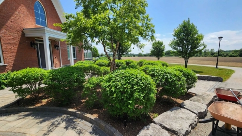 2025-Whitby-Landscaping-Gardening-28-Perennial-garden-maintenance