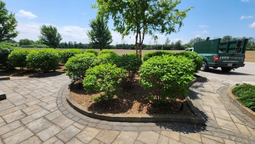 2025-Whitby-Landscaping-Gardening-29-Perennial-garden-maintenance-Pruning-Shaping