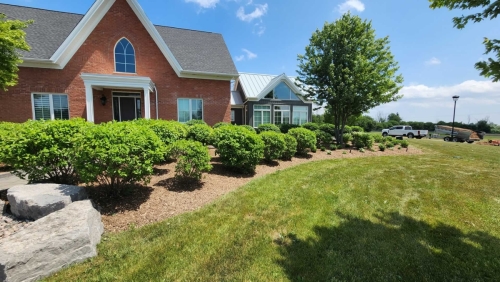 2025-Whitby-Landscaping-Gardening-31-Garden-bed-clean-up-and-rejuvenation