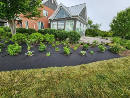 2025-Whitby-Landscaping-Gardening-32b-Professional-Garden-installation