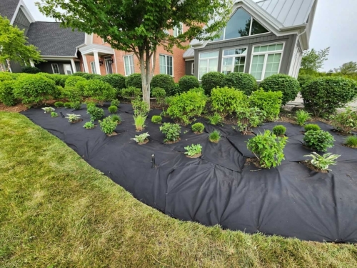 2025-Whitby-Landscaping-Gardening-32c-Weed-free-gardens