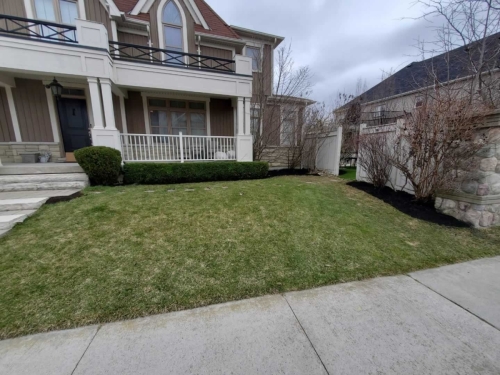 2025-Whitby-Landscaping-Gardening-40-Early-spring-Garden-cleanup-Pruning