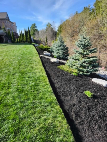 2025-Whitby-Landscaping-Gardening-43-Sloped-Garden-Erosion-Control