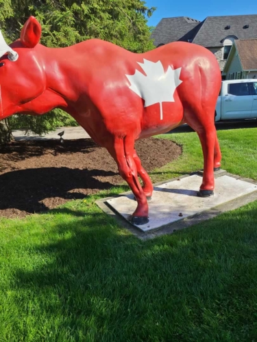 2025-Whitby-Landscaping-Gardening-48-Lawn-Ornaments