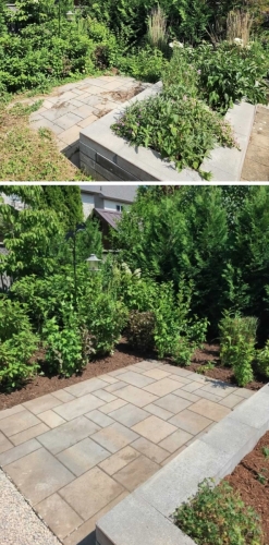 2025-Whitby-Landscaping-Gardening-5-Perennial-plants-Durham