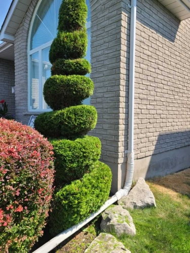 2025-Whitby-Landscaping-Gardening-57-Garden-bed-maintenance-Durham