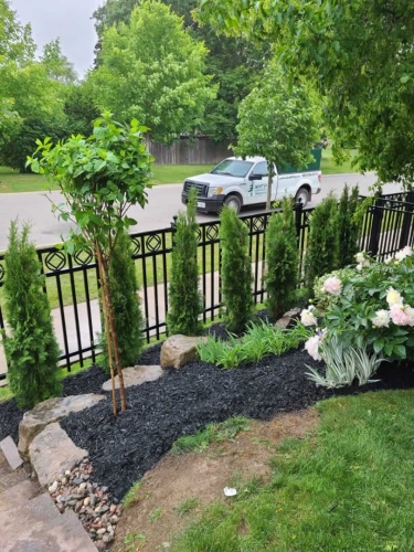 2025-Whitby-Landscaping-Gardening-58-Local-gardener-Durham-Ontario