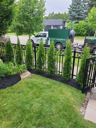 2025-Whitby-Landscaping-Gardening-59-Gardeners-Ajax