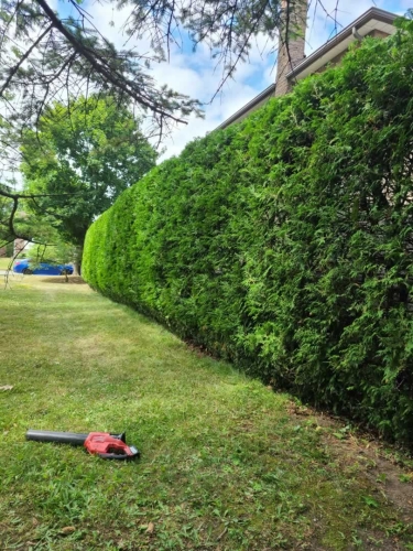 2025-Whitby-Landscaping-Gardening-60-Gardening-services-Durham-Region