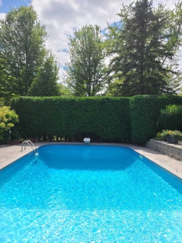 2025-Whitby-Landscaping-Gardening-66-Pool-Privacy-Hedge-Shaping-Planting