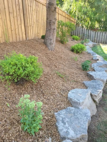 2025-Whitby-Landscaping-Gardening-69-Natural-Mulch-Slopped-Garden-Armour-Stone-Whitby