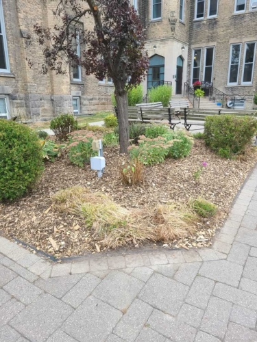 2025-Whitby-Landscaping-Gardening-71-Commercial-Garden-Maintenance