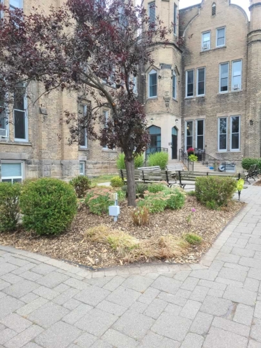 2025-Whitby-Landscaping-Gardening-73-Commercial-Garden-Maintenance