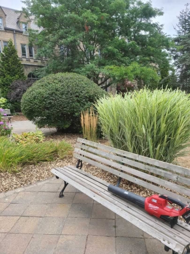 2025-Whitby-Landscaping-Gardening-74-Commercial-Garden-Maintenance