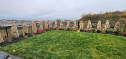 2025-Whitby-Landscaping-Gardening-82-Garden-Winterization-Burlap-Whitby