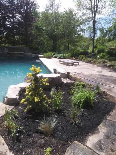 20 - Large pool garden planting project