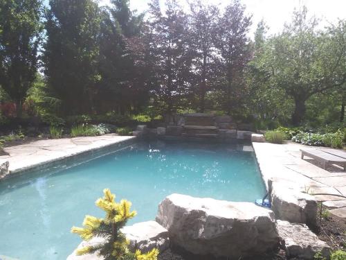 22 - Large pool garden planting project