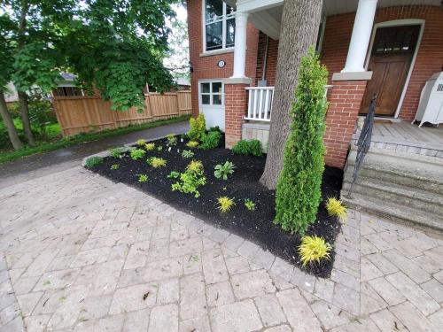 24 - Planting Project Brooklin