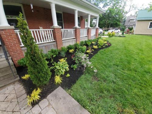 25 - Planting Project Brooklin