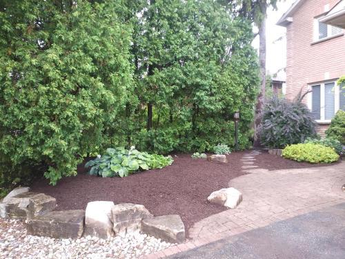 29 - Front yard garden