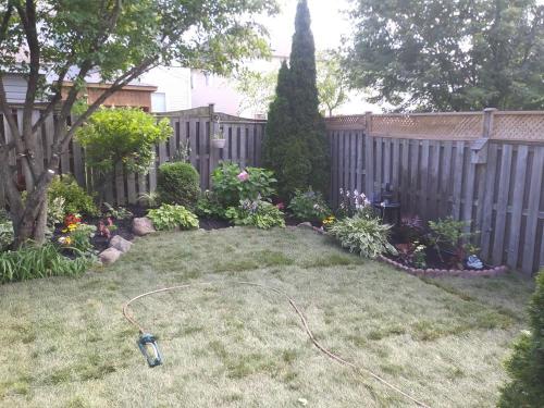 30 - Backyard Garden with new sod