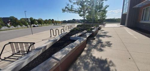 38 - Brooklin Highschool Cleanup Project