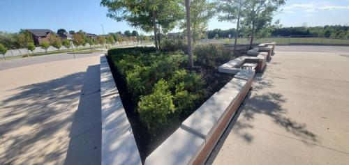 40 - Brooklin Highschool Cleanup Project