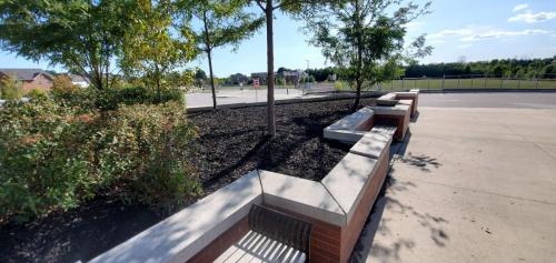 41 - Brooklin Highschool Cleanup Project