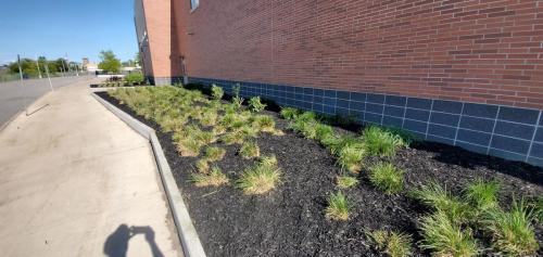 43 - Brooklin Highschool Cleanup Project