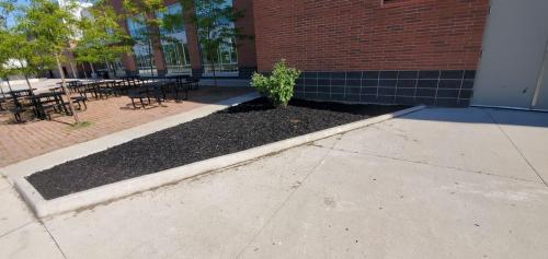 45 - Brooklin Highschool Cleanup Project