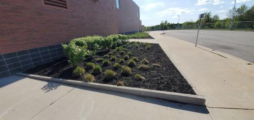 46 - Brooklin Highschool Cleanup Project