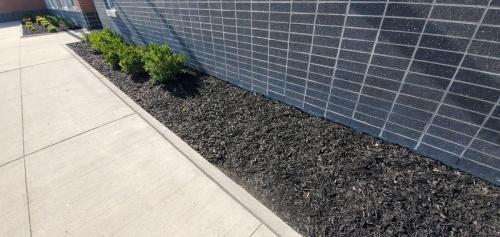 47 - Brooklin Highschool Cleanup Project