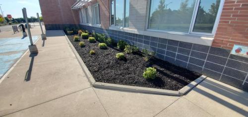 48 - Brooklin Highschool Cleanup Project