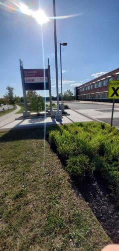 50 - Brooklin Highschool Cleanup Project