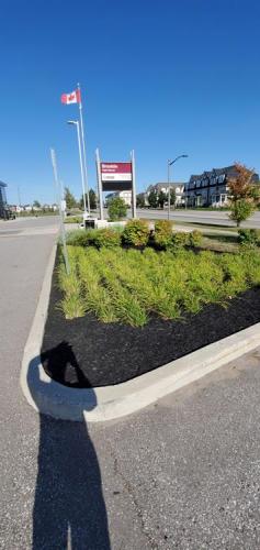 52 - Brooklin Highschool Cleanup Project