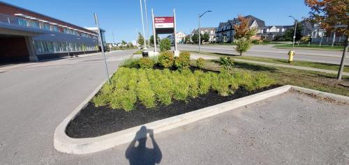 53 - Brooklin Highschool Cleanup Project