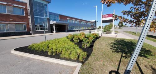 54 - Brooklin Highschool Cleanup Project