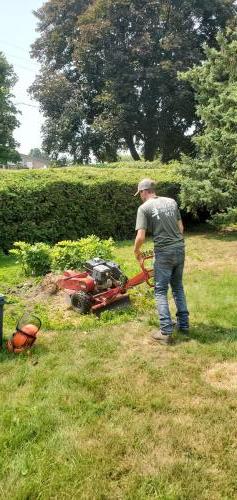 60 - Stump Grinding