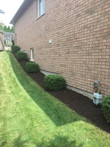 64 - Sideyard pruning and Mulch