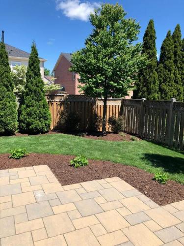 72 - Backyard cleanup Queens Common Whitby