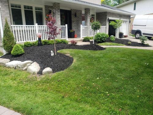 77 - Curvy Minimalistic Garden