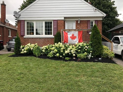 92 - Hydrangea Garden Oshawa