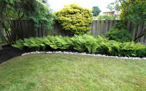Backyard English Garden with River Stone Border
