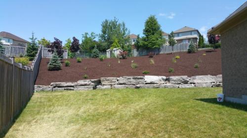 Backyard Garden Bed Mulch After 1