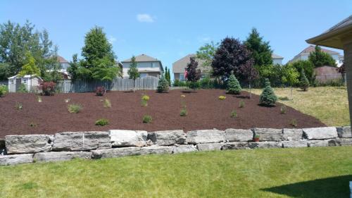 Backyard Garden Bed Mulch After 2