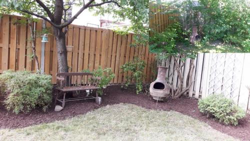 Backyard Garden Bed Thinning Removal After
