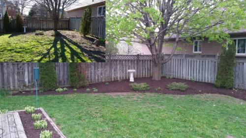 Backyard Ideas Garden After 1