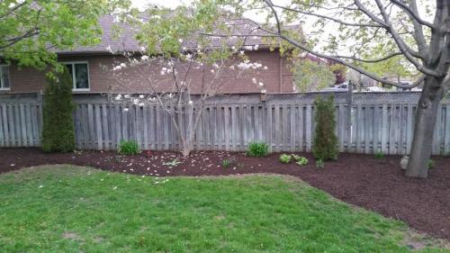 Backyard Ideas Garden After 2