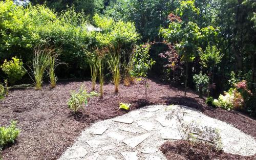 Backyard Oasis Garden Bed Planting1